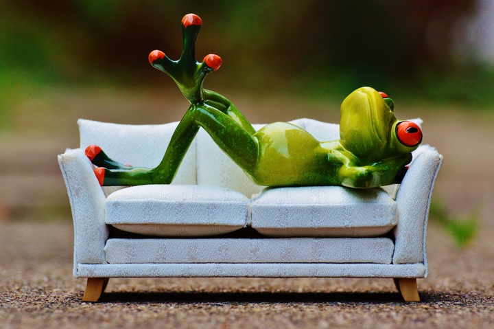 frog on couch