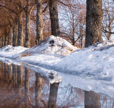 Lake and melting snow in springtime