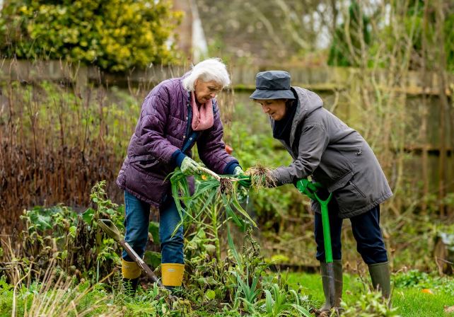 Seniors-gardening