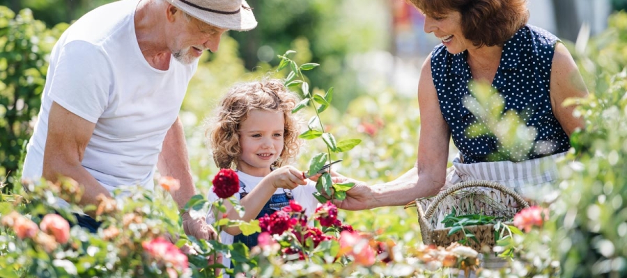 tips-for-dementia-child and mom and grandpa picking flowers
