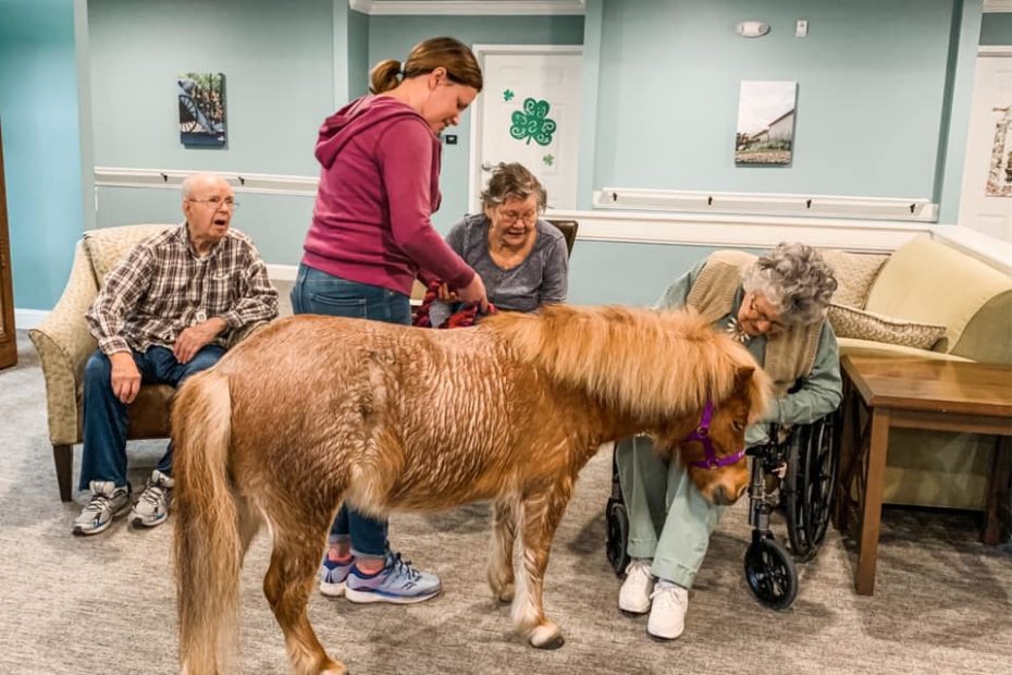 Pony visiting memory care residents