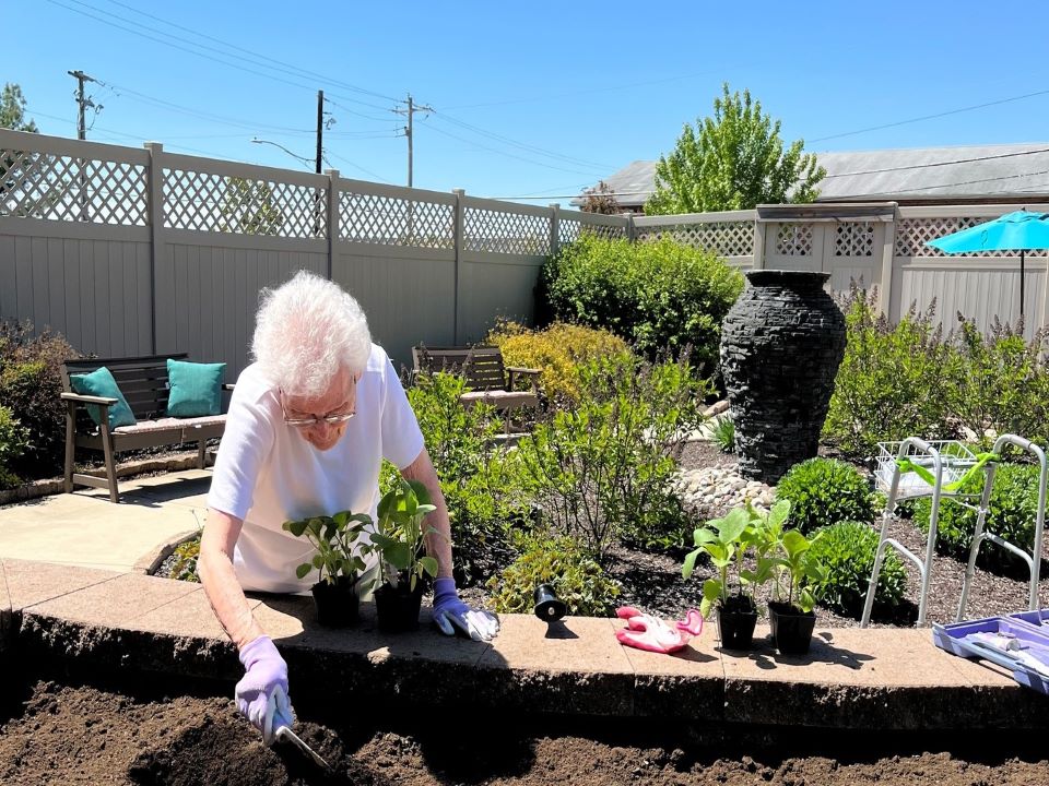 Therapy Garden