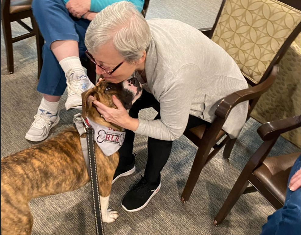 Lady hugging therapy puppy