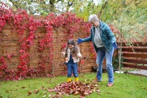 Senior woman and little girl with a leaf pile