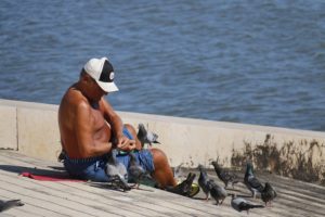 senior man feeding birds on shore